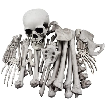 Костите на скелета на Хелоуин, реалистично изглеждащ човешки скелет, изкуствена страшно кост за Хелоуин, директна доставка
